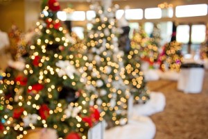 christmas-trees-1042542_640